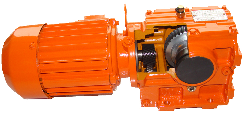 gearmotor manufacturers Types of gear motor Worm Gear Motor