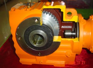 gearmotor manufacturers Types of gear motor Worm Gear Motor