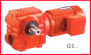 gearmotor manufacturers Types of gear motor Worm Gear Motor