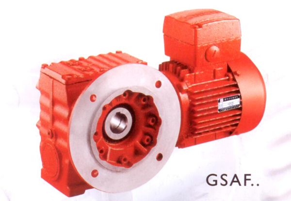 gearmotor manufacturers Types of gear motor Worm Gear Motor