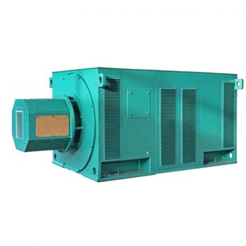 YR5001-10 3 phase induction motor for sale