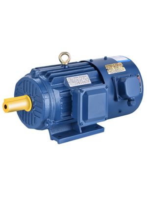 YVF2-315L2-6 motor ie2 difference between synchronous generator and induction generator smal