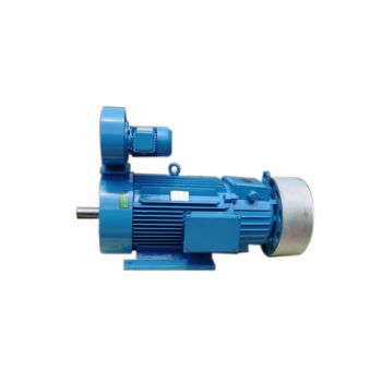 YZRW180L-6 high voltage ac motors induction motor data sheet 3 phase induction motor manuf