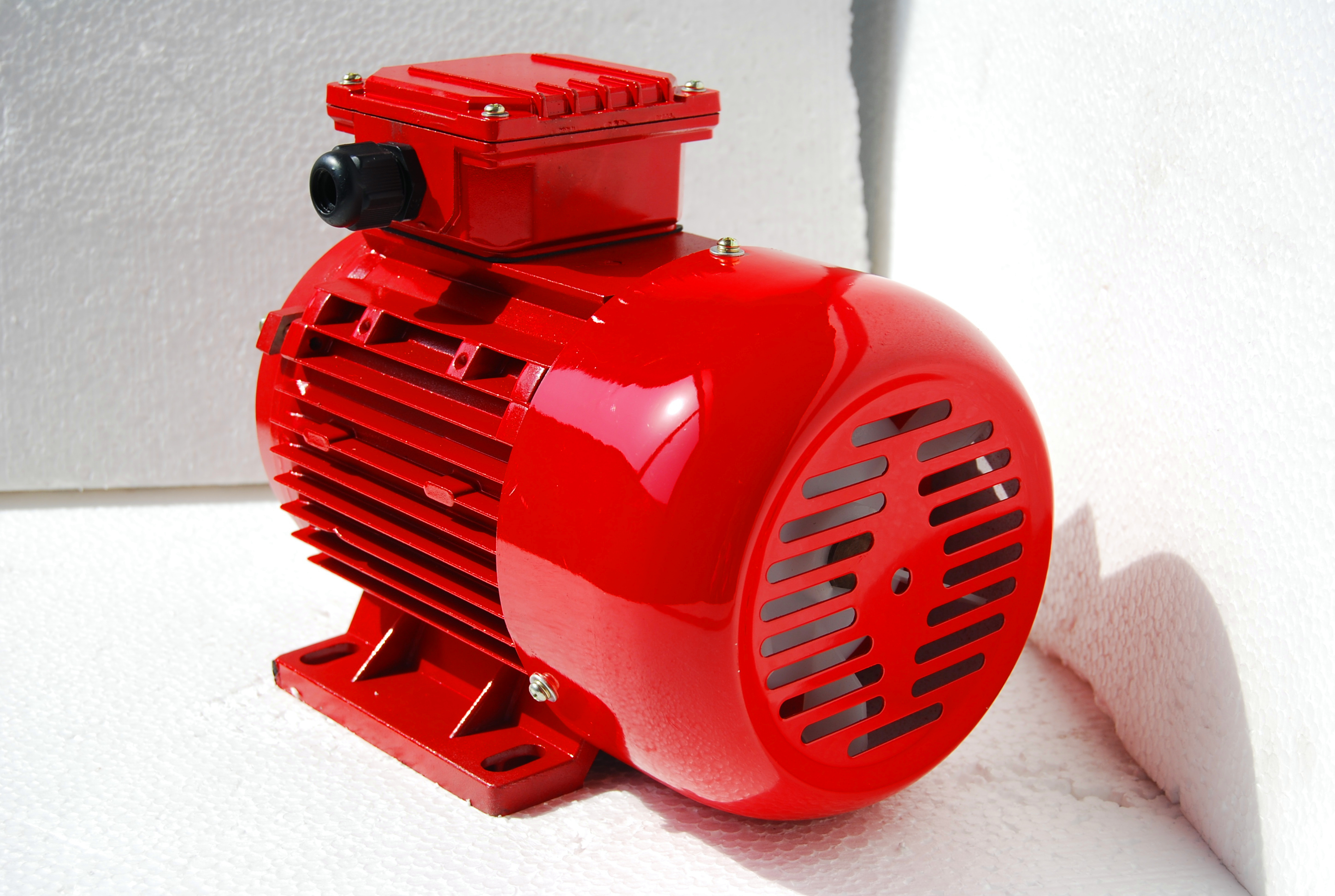gost electric motor