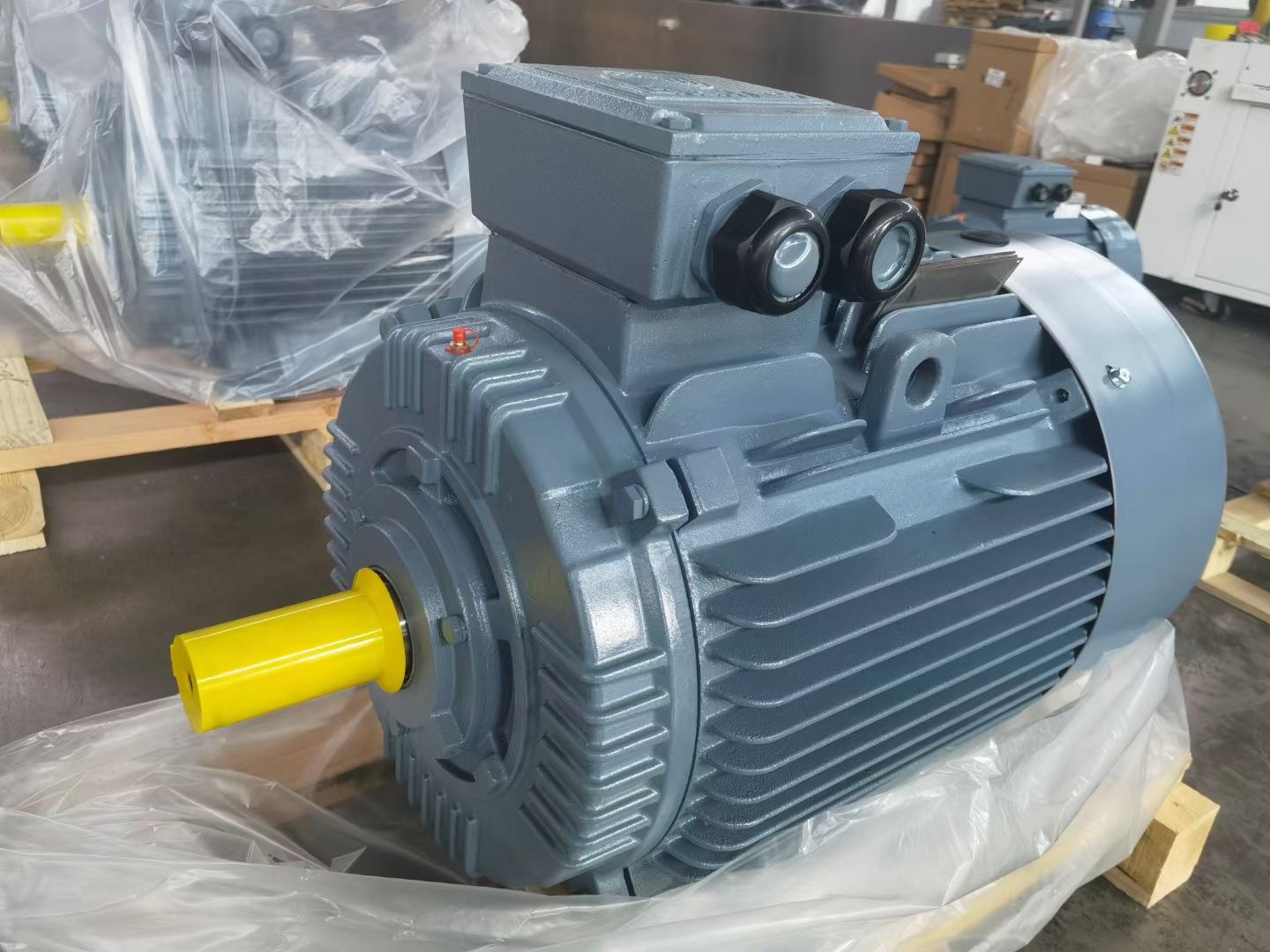 two speed electric motor